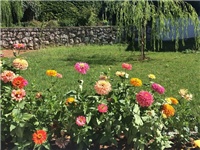 66cc71ac-20160809 zinie.jpg